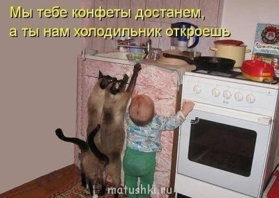 Кто там любит кошек? - iCfCvLsoP0Y.jpg