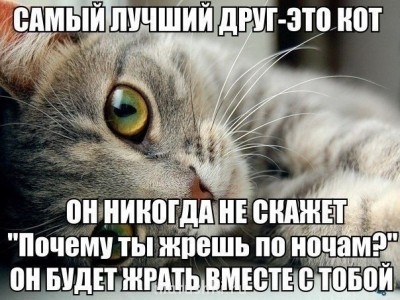 Кто там любит кошек? - 5qJb8u0LvsQ.jpg