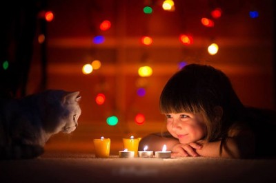 Кто там любит кошек? - котик.jpeg