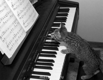 ВесЁлыЕ кАртинКи про нОтки, МУзыКу и т.п. - 1380112033.jpg