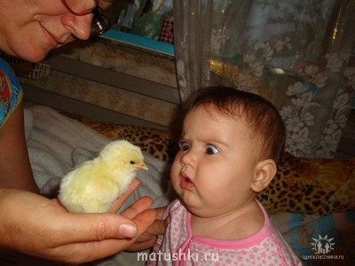 Они прекрасны и удивительны Из жизни животных. - getImage.jpg