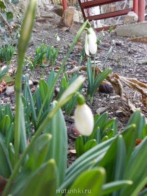 А что у нас с погодой? - 4 - DSCN3435.JPG