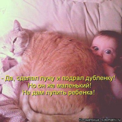 Кто там любит кошек? - 1.jpeg