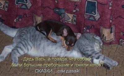 Кто там любит кошек? - 7.jpeg