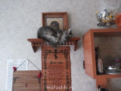 Нашла себе местечко. И не отучишь...