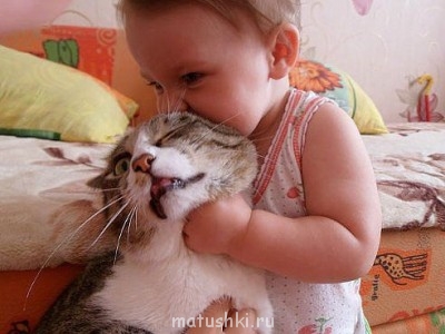 Любимая кошатинка  - getImage2.jpg