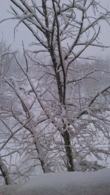 Новость дня. - DSC_0180.jpg