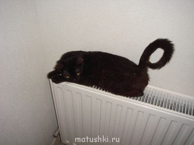 наша маленькая обезьянка)))