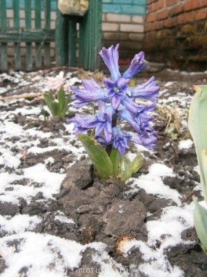 Такая погода была 4 апреля