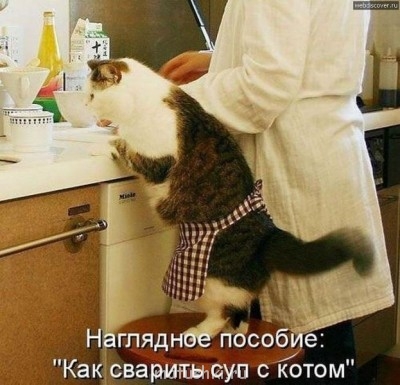 Любимая кошатинка  - wLqbnc2HzgQ.jpg