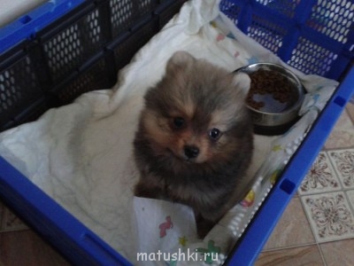 Вот такая наша девочка