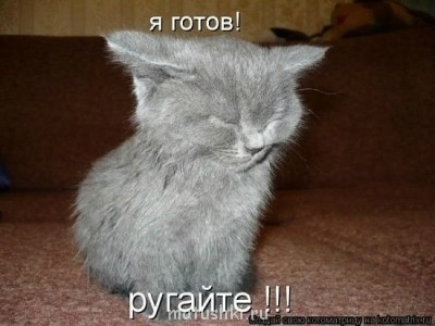 Любимая кошатинка  - 6ialKfETOrQ.jpg