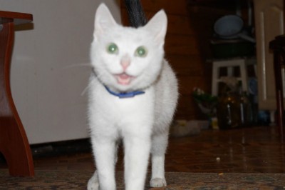 мы ждем очередного прибавления)))