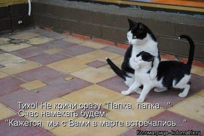 Любимая кошатинка  - л.jpeg