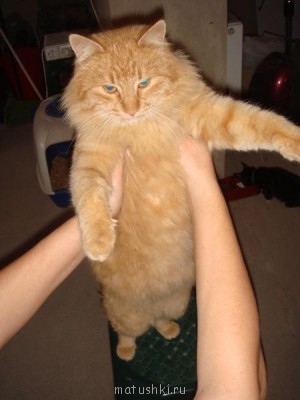 Вот оно, чудо чудное))).