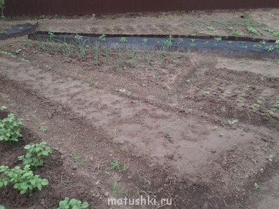 вот она пустота!