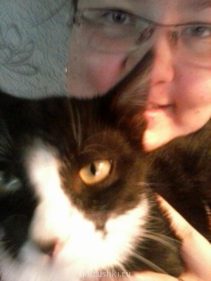 Любимая кошатинка  - 2fb8384e223b2bc2f70e13213dbe0b22.jpg