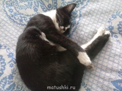 Любимая кошатинка  - CAM00153.jpg