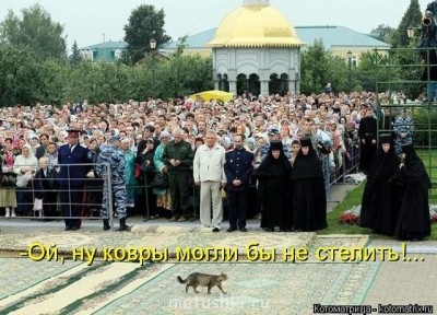 Любимая кошатинка  - gкенгшщзetImage.jpg