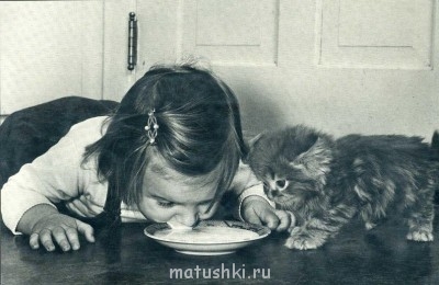 Любимая кошатинка  - tF3N2rpV1vc.jpg