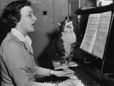 Любимая кошатинка  - tNdYsiOjuxU.jpg