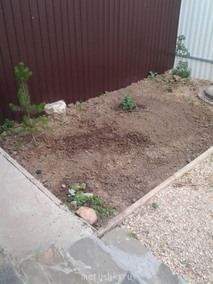 Наша дача - Фото0349.jpg