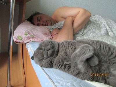 Любимая кошатинка  - getImage (1).jpg