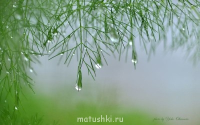 Капельки очень душевные, умиротворяют.