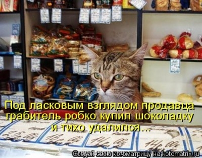 Любимая кошатинка  - 977501.jpg