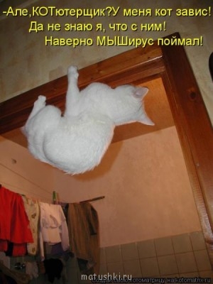 Любимая кошатинка  - kotomatritsa_g.jpg