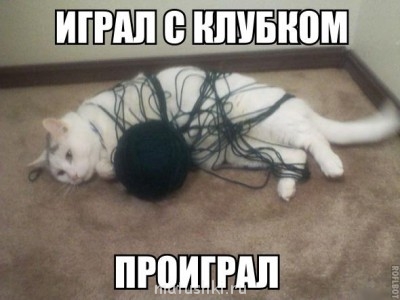 Любимая кошатинка  - Zl1Rj0thayw.jpg