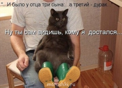 Любимая кошатинка  - getImкенгшщзхage.jpg