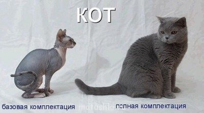 Любимая кошатинка  - getIкенгшщзхmage.jpg