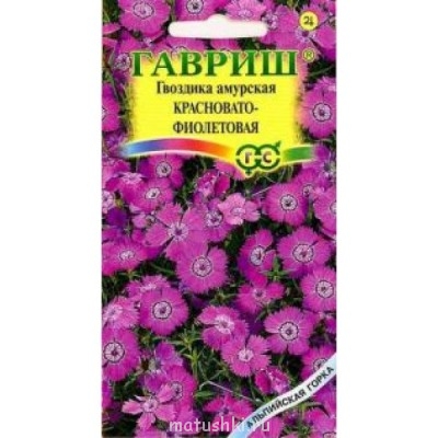 Помогите определить растение - 003852-600x600.jpg