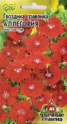 Помогите определить растение - d65eb2238e7b4f99.jpg