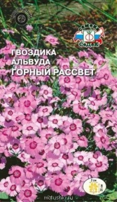 Помогите определить растение - r160438.JPG