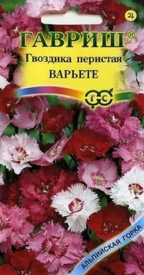 Помогите определить растение - shop_items_catalog_image50434.jpeg