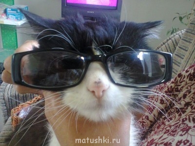 Любимая кошатинка  - фото0003.jpg