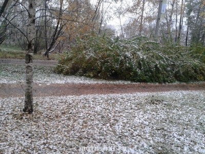 это вчера.. Так все начиналось