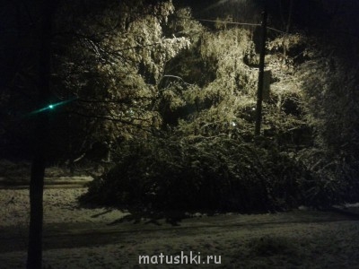 так стало уже к ночи