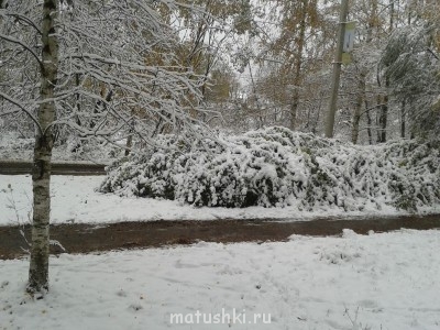 А так уже сегодня