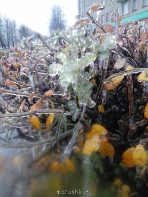 А что у нас с погодой? - 4 - CAM00754.jpg