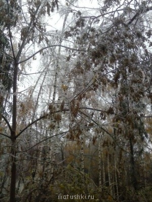 А что у нас с погодой? - 4 - CAM00755.jpg