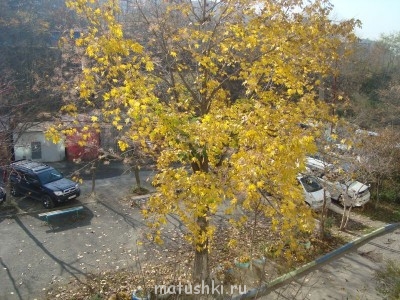 А что у нас с погодой? - 4 - DSC09460.JPG