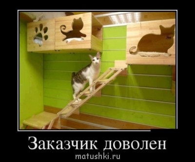 Любимая кошатинка  - 1366368275_demotivatory_24.jpg