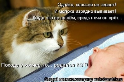 Любимая кошатинка  - kotomatritsa_2_.jpg