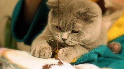 Рукодельные флудилки - 4d76f23842b9eee8e3444f89e3323.jpg