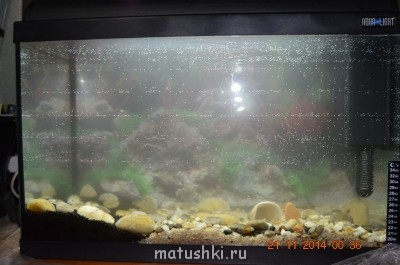 Аквариум. - DSC_0005.JPG