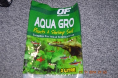 Аквариум. - DSC_0007.JPG