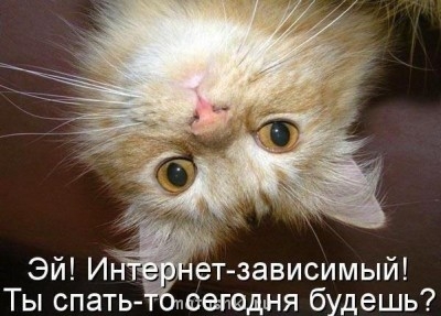 Любимая кошатинка  - зависимый.jpg